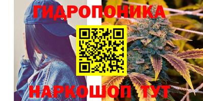 СК Жуковский