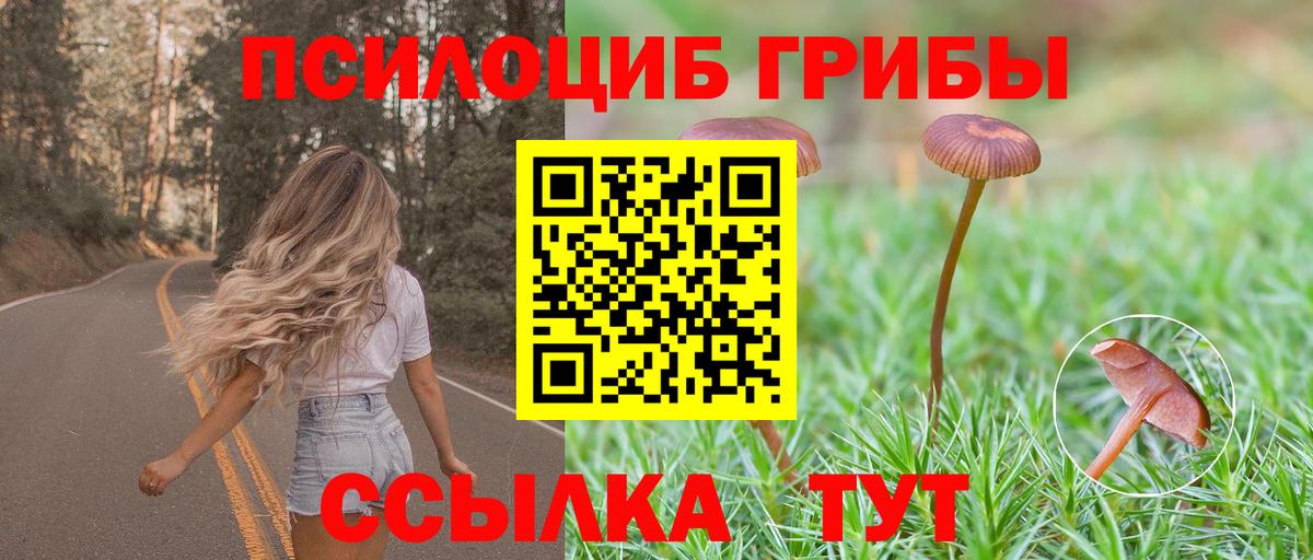 Псилоцибиновые грибы прущие грибы Дзержинский