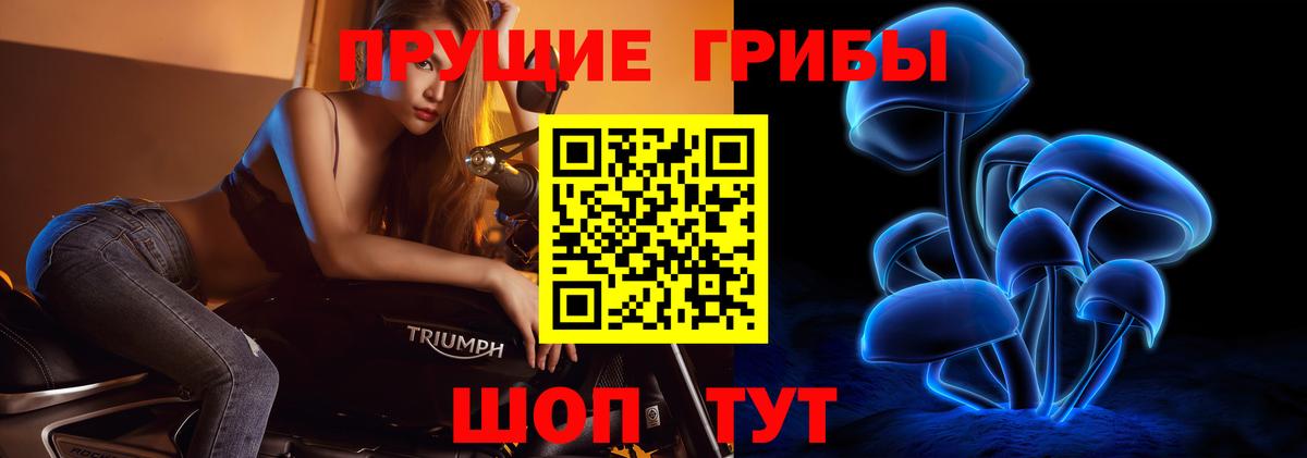Галлюциногенные грибы Psilocybe  Галлюциногенные грибы Psilocybe  Дзержинский  Вход с VPN 